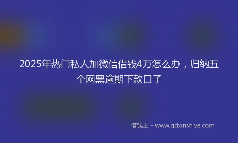 2025年热门私人加微信借钱4万怎么办，归纳五个网黑逾期下款口子