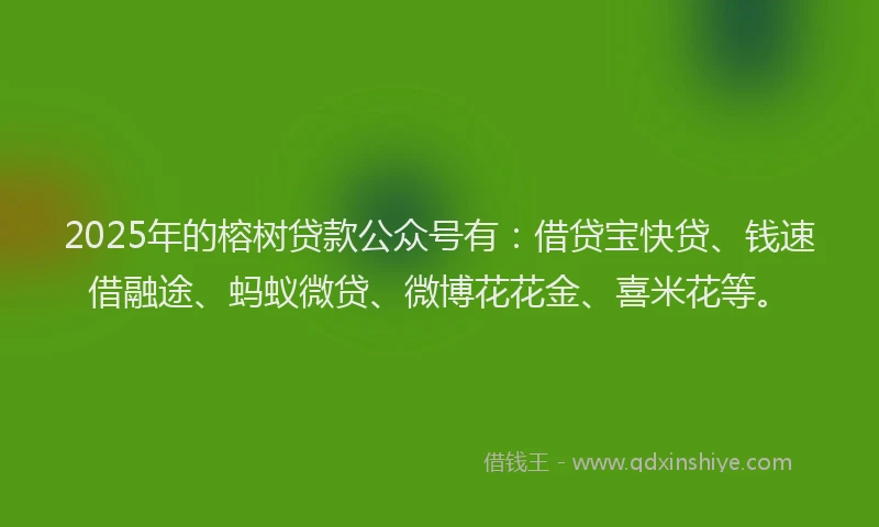 2025年的榕树贷款公众号有：借贷宝快贷、钱速借融途、蚂蚁微贷、微博花花金、喜米花等。