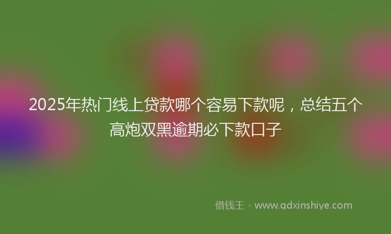 2025年热门线上贷款哪个容易下款呢，总结五个高炮双黑逾期必下款口子