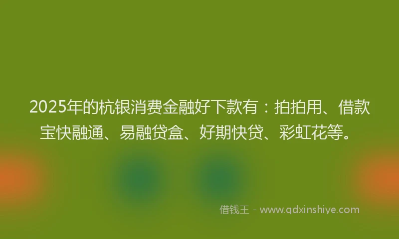 2025年的杭银消费金融好下款有：拍拍用、借款宝快融通、易融贷盒、好期快贷、彩虹花等。