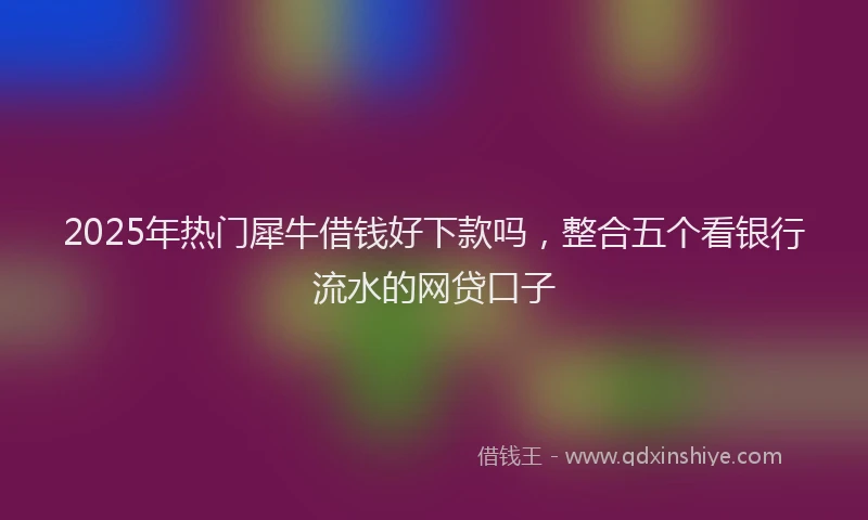 2025年热门犀牛借钱好下款吗，整合五个看银行流水的网贷口子