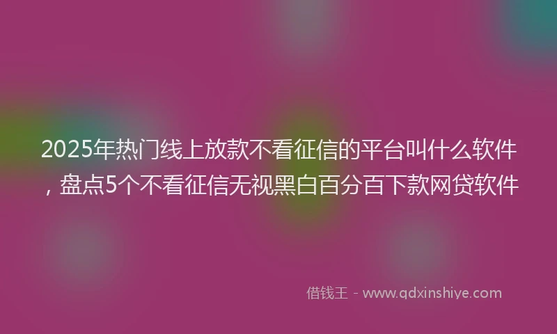 2025年热门线上放款不看征信的平台叫什么软件，盘点5个不看征信无视黑白百分百下款网贷软件