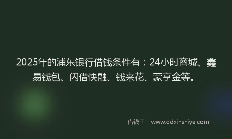 2025年的浦东银行借钱条件有：24小时商城、鑫易钱包、闪借快融、钱来花、蒙享金等。