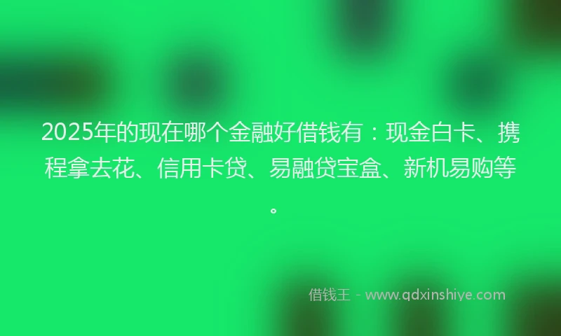 2025年的现在哪个金融好借钱有：现金白卡、携程拿去花、信用卡贷、易融贷宝盒、新机易购等。