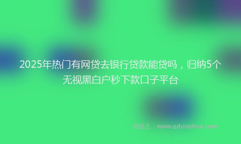 2025年热门有网贷去银行贷款能贷吗，归纳5个无视黑白户秒下款口子平台