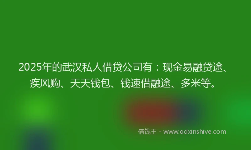 2025年的武汉私人借贷公司有：现金易融贷途、疾风购、天天钱包、钱速借融途、多米等。