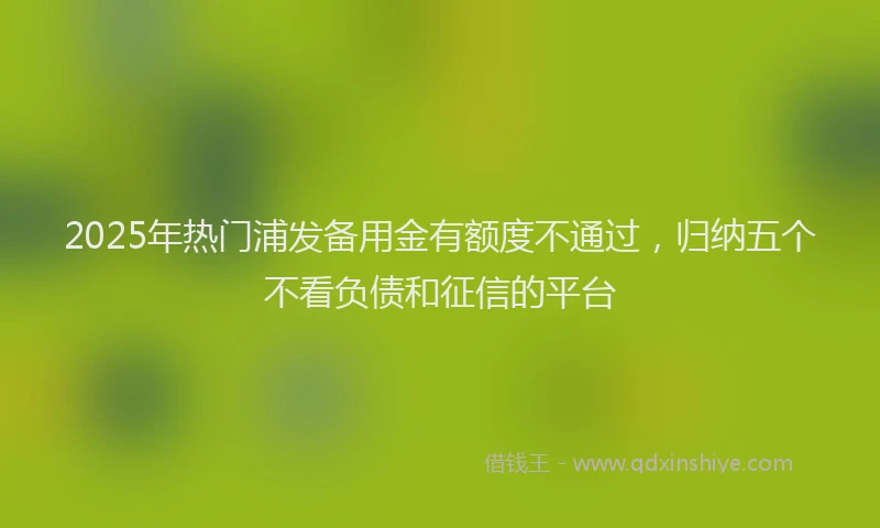 2025年热门浦发备用金有额度不通过，归纳五个不看负债和征信的平台
