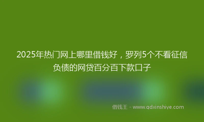 2025年热门网上哪里借钱好，罗列5个不看征信负债的网贷百分百下款口子