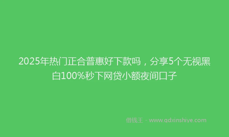 2025年热门正合普惠好下款吗，分享5个无视黑白100%秒下网贷小额夜间口子