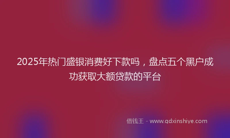 2025年热门盛银消费好下款吗，盘点五个黑户成功获取大额贷款的平台