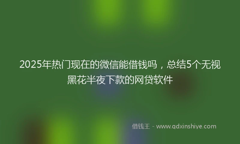 2025年热门现在的微信能借钱吗，总结5个无视黑花半夜下款的网贷软件