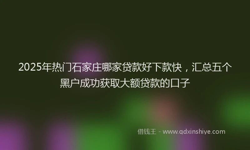 2025年热门石家庄哪家贷款好下款快，汇总五个黑户成功获取大额贷款的口子