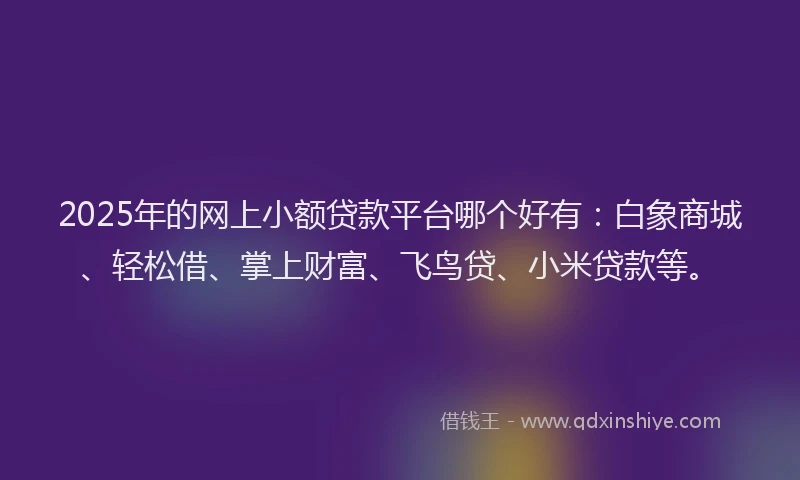 2025年的网上小额贷款平台哪个好有：白象商城、轻松借、掌上财富、飞鸟贷、小米贷款等。
