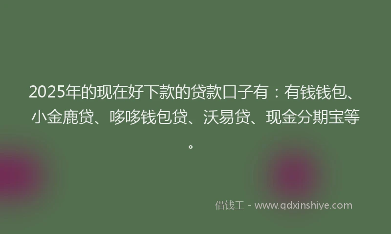 2025年的现在好下款的贷款口子有：有钱钱包、小金鹿贷、哆哆钱包贷、沃易贷、现金分期宝等。