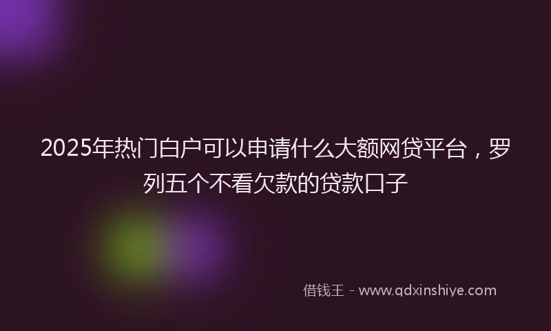2025年热门白户可以申请什么大额网贷平台，罗列五个不看欠款的贷款口子
