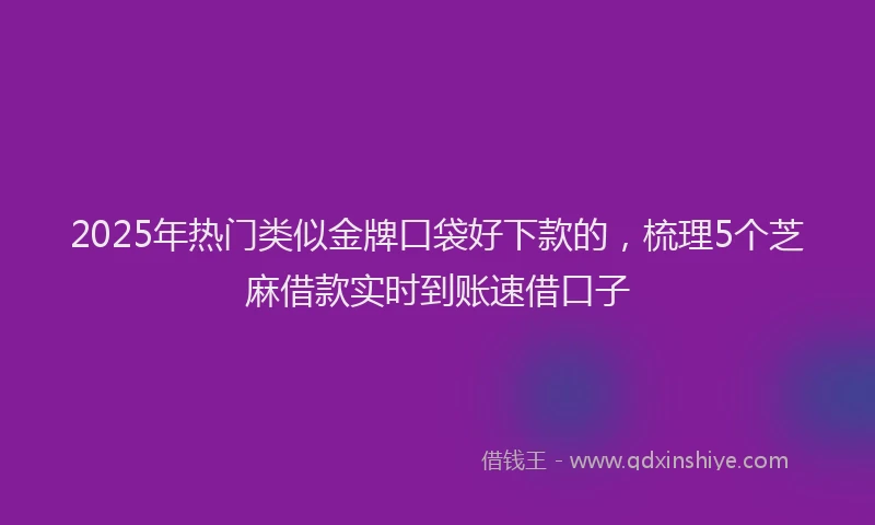 2025年热门类似金牌口袋好下款的，梳理5个芝麻借款实时到账速借口子