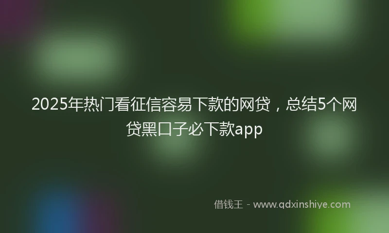 2025年热门看征信容易下款的网贷，总结5个网贷黑口子必下款app