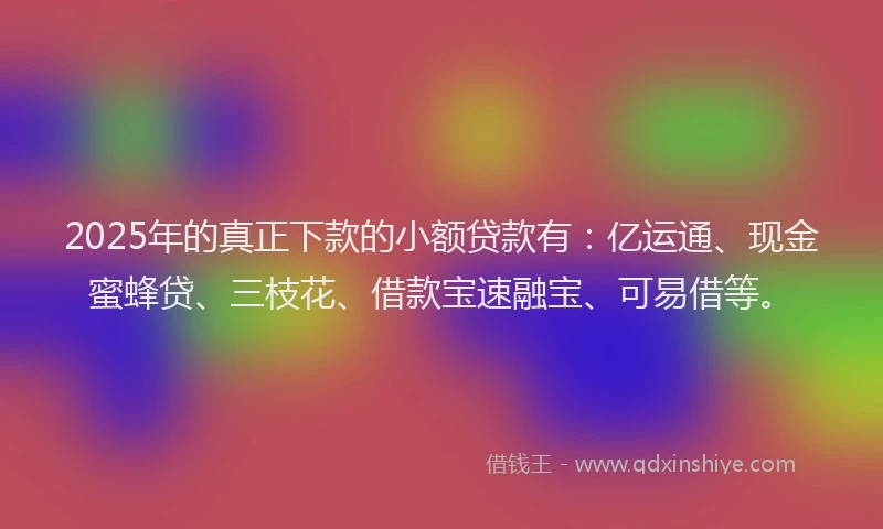 2025年的真正下款的小额贷款有：亿运通、现金蜜蜂贷、三枝花、借款宝速融宝、可易借等。
