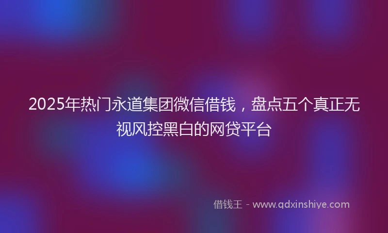 2025年热门永道集团微信借钱，盘点五个真正无视风控黑白的网贷平台