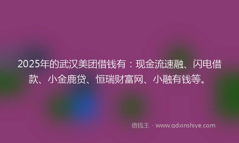 2025年的武汉美团借钱有：现金流速融、闪电借款、小金鹿贷、恒瑞财富网、小融有钱等。