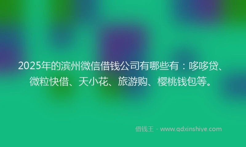 2025年的滨州微信借钱公司有哪些有：哆哆贷、微粒快借、天小花、旅游购、樱桃钱包等。