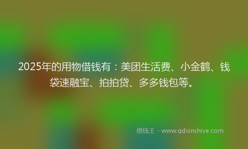 2025年的用物借钱有：美团生活费、小金鹤、钱袋速融宝、拍拍贷、多多钱包等。