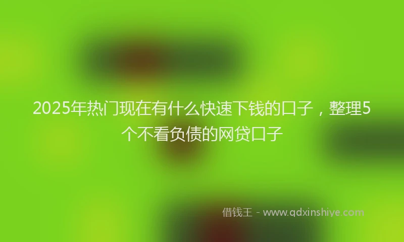 2025年热门现在有什么快速下钱的口子，整理5个不看负债的网贷口子