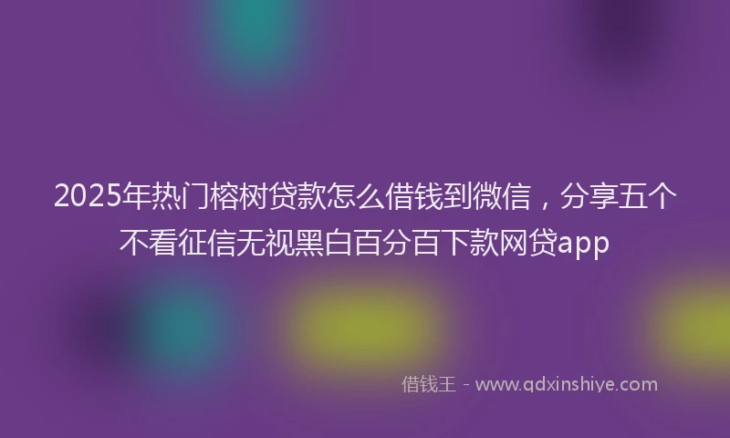 2025年热门榕树贷款怎么借钱到微信，分享五个不看征信无视黑白百分百下款网贷app