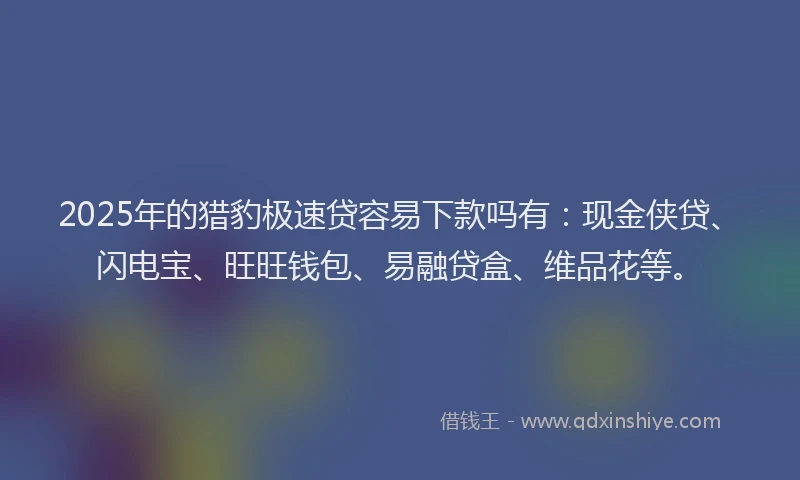 2025年的猎豹极速贷容易下款吗有：现金侠贷、闪电宝、旺旺钱包、易融贷盒、维品花等。