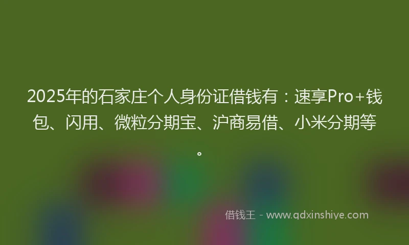 2025年的石家庄个人身份证借钱有：速享Pro+钱包、闪用、微粒分期宝、沪商易借、小米分期等。