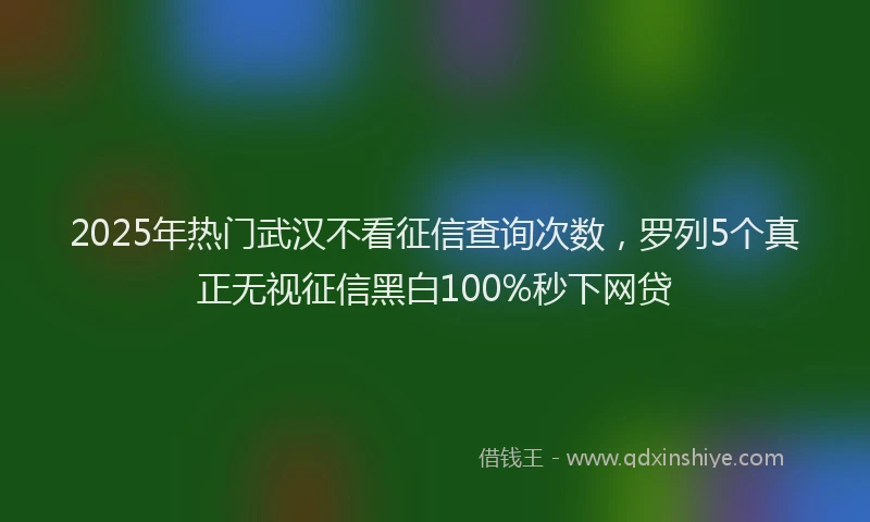 2025年热门武汉不看征信查询次数，罗列5个真正无视征信黑白100%秒下网贷