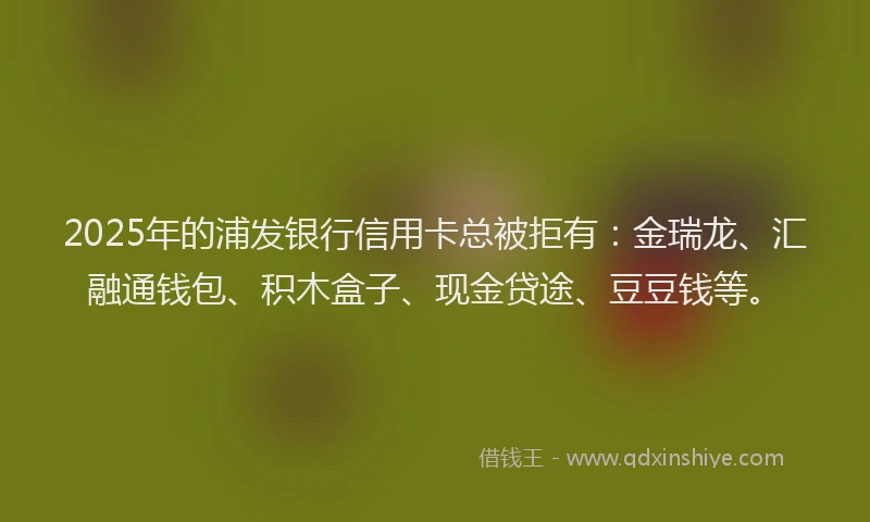 2025年的浦发银行信用卡总被拒有：金瑞龙、汇融通钱包、积木盒子、现金贷途、豆豆钱等。