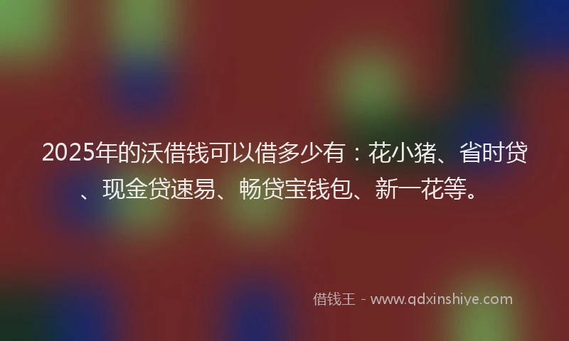 2025年的沃借钱可以借多少有：花小猪、省时贷、现金贷速易、畅贷宝钱包、新一花等。
