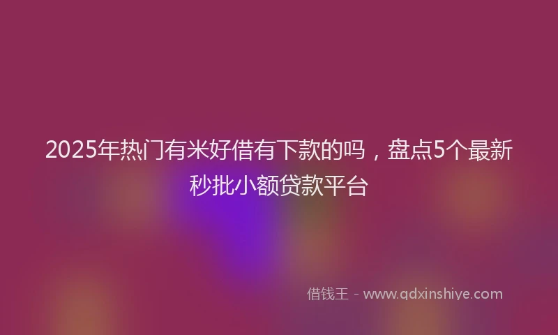 2025年热门有米好借有下款的吗，盘点5个最新秒批小额贷款平台