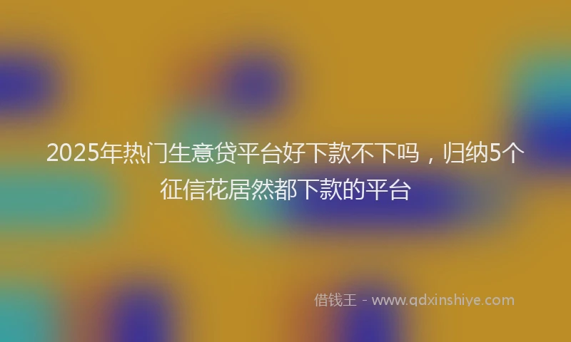 2025年热门生意贷平台好下款不下吗，归纳5个征信花居然都下款的平台