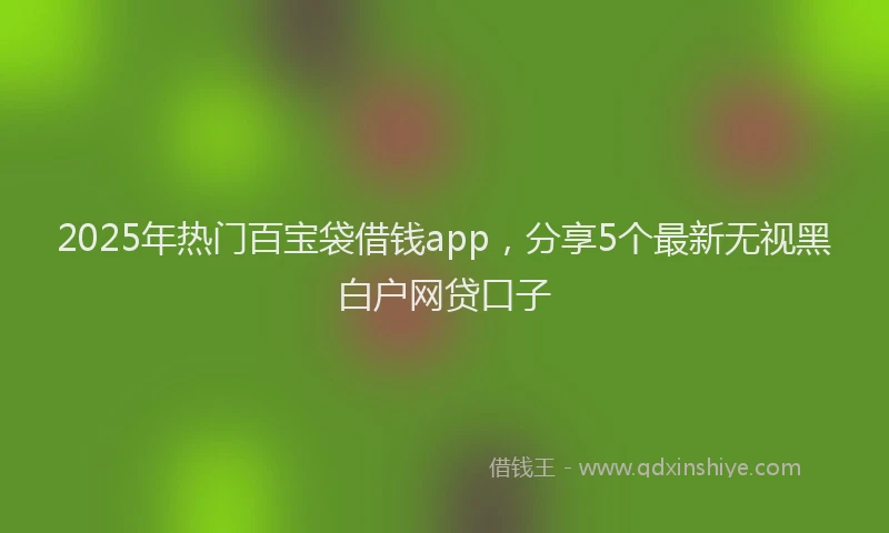 2025年热门百宝袋借钱app，分享5个最新无视黑白户网贷口子