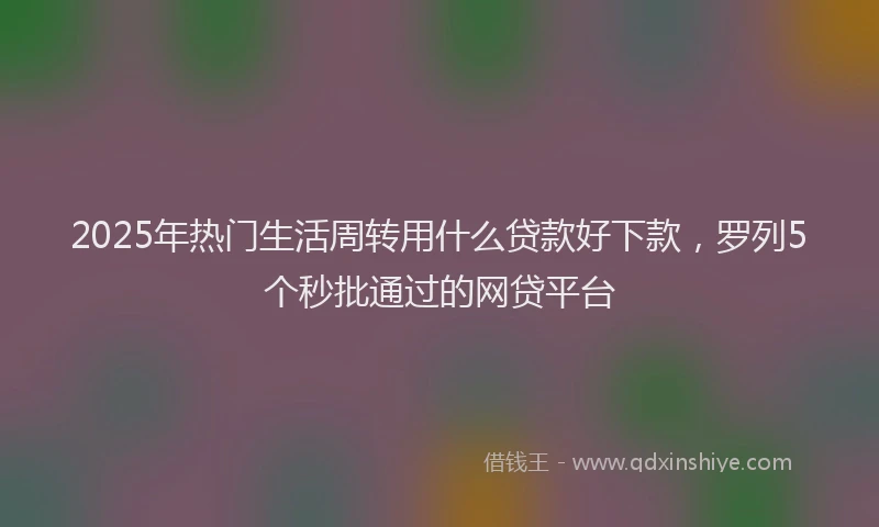 2025年热门生活周转用什么贷款好下款，罗列5个秒批通过的网贷平台