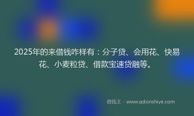 2025年的来借钱咋样有：分子贷、会用花、快易花、小麦粒贷、借款宝速贷融等。