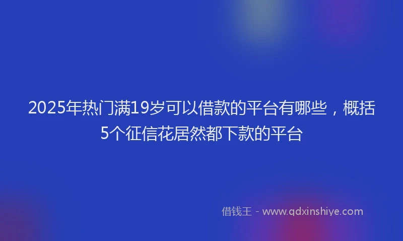 2025年热门满19岁可以借款的平台有哪些，概括5个征信花居然都下款的平台
