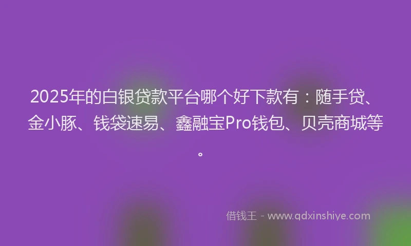 2025年的白银贷款平台哪个好下款有：随手贷、金小豚、钱袋速易、鑫融宝Pro钱包、贝壳商城等。