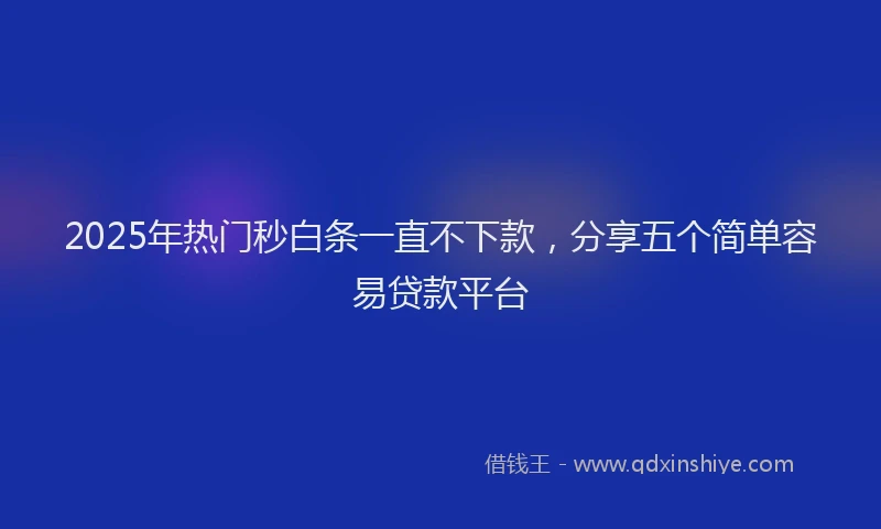 2025年热门秒白条一直不下款，分享五个简单容易贷款平台