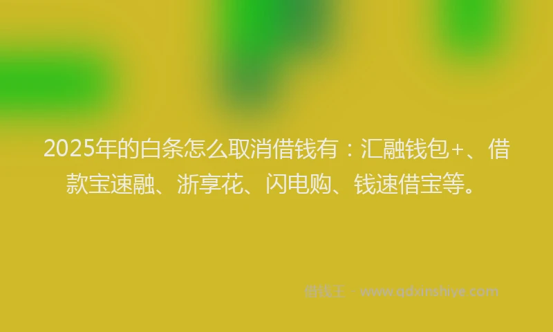 2025年的白条怎么取消借钱有：汇融钱包+、借款宝速融、浙享花、闪电购、钱速借宝等。
