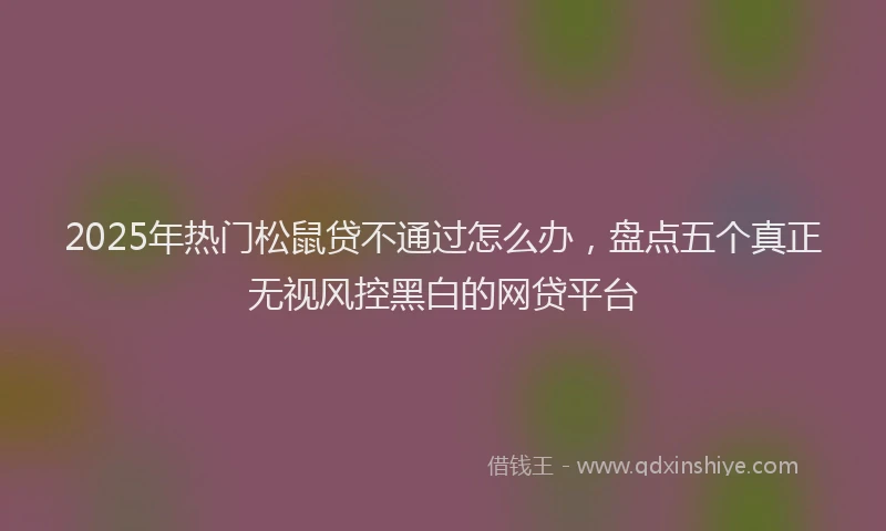 2025年热门松鼠贷不通过怎么办，盘点五个真正无视风控黑白的网贷平台