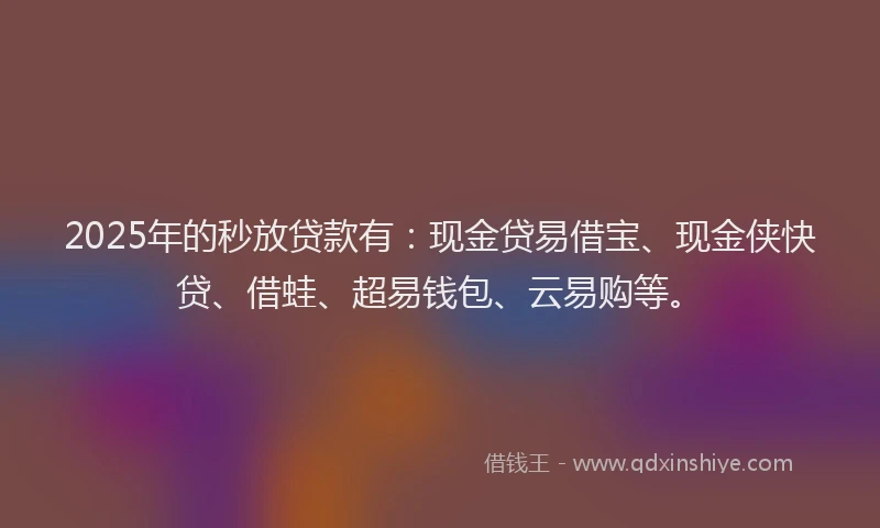 2025年的秒放贷款有：现金贷易借宝、现金侠快贷、借蛙、超易钱包、云易购等。