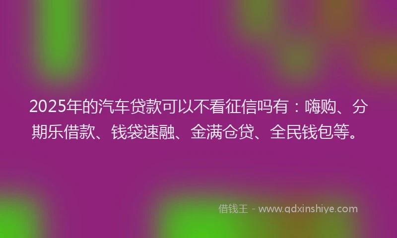 2025年的汽车贷款可以不看征信吗有：嗨购、分期乐借款、钱袋速融、金满仓贷、全民钱包等。