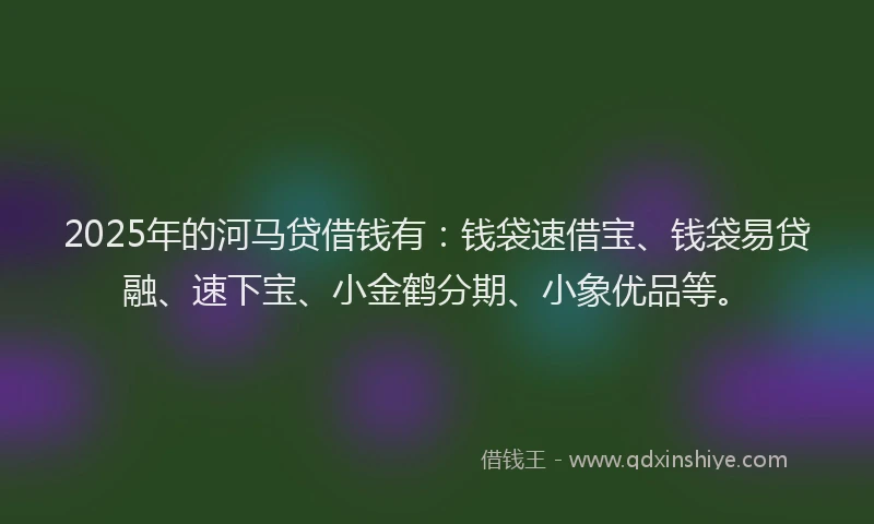2025年的河马贷借钱有：钱袋速借宝、钱袋易贷融、速下宝、小金鹤分期、小象优品等。