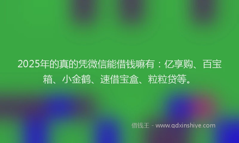 2025年的真的凭微信能借钱嘛有：亿享购、百宝箱、小金鹤、速借宝盒、粒粒贷等。