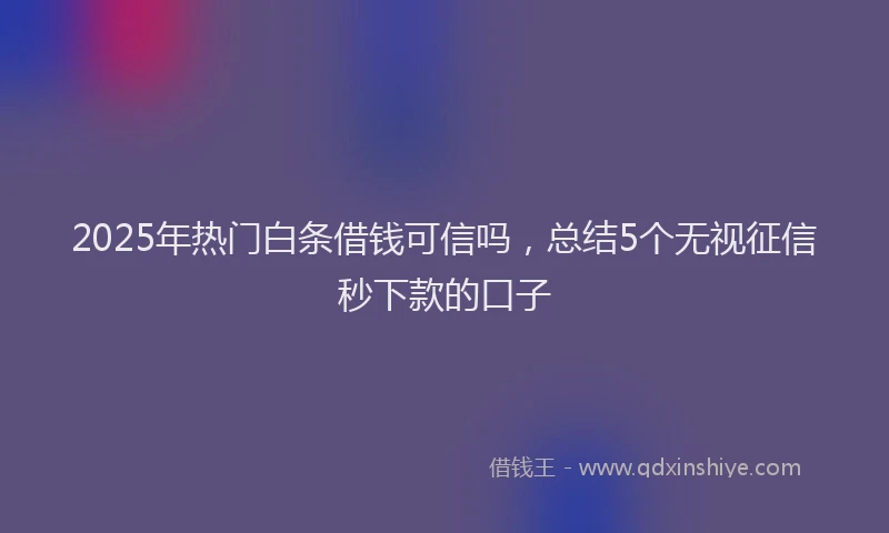 2025年热门白条借钱可信吗，总结5个无视征信秒下款的口子