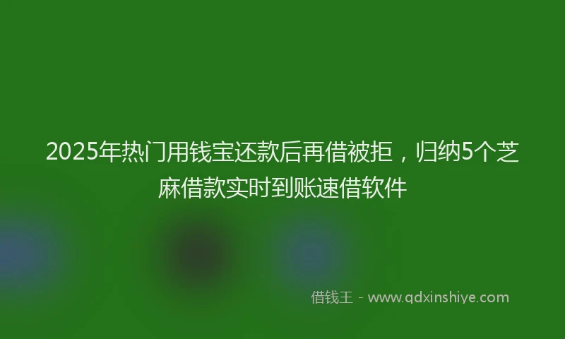 2025年热门用钱宝还款后再借被拒，归纳5个芝麻借款实时到账速借软件