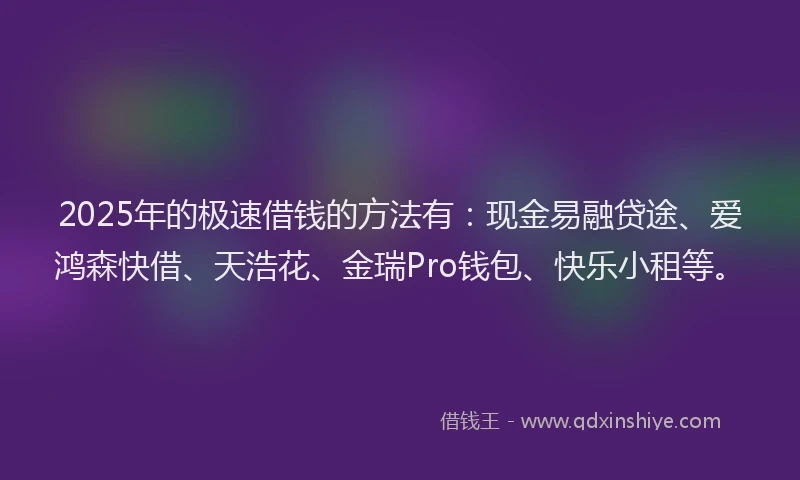 2025年的极速借钱的方法有：现金易融贷途、爱鸿森快借、天浩花、金瑞Pro钱包、快乐小租等。